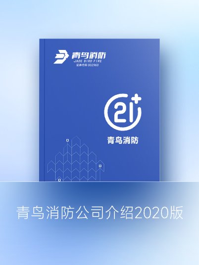 pgվ齫˹˾2020