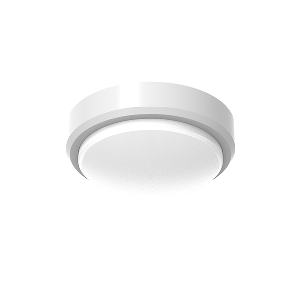 IP65